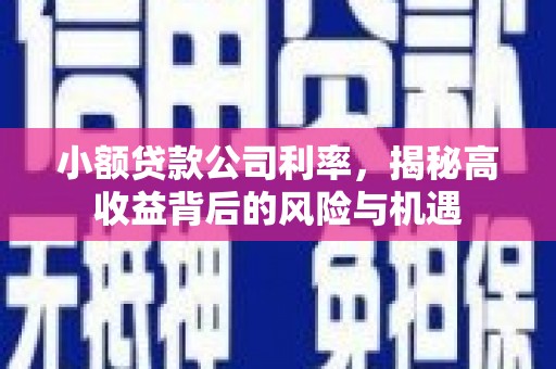 绩溪小额贷款公司利率，揭秘高收益背后的风险与机遇