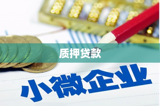 绩溪质押贷款