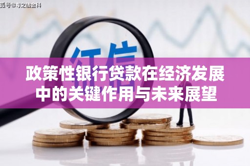 绩溪政策性银行贷款在经济发展中的关键作用与未来展望