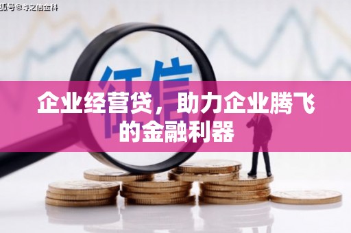 绩溪企业经营贷，助力企业腾飞的金融利器