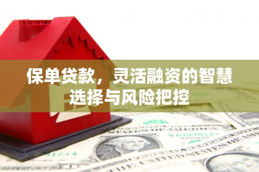 绩溪保单贷款，灵活融资的智慧选择与风险把控