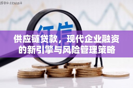 绩溪供应链贷款，现代企业融资的新引擎与风险管理策略