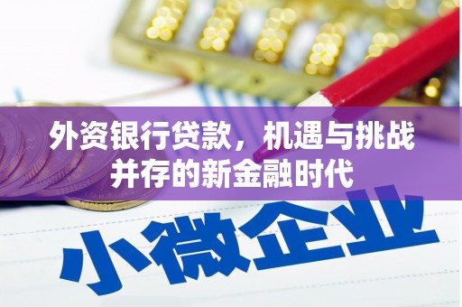 绩溪外资银行贷款，机遇与挑战并存的新金融时代