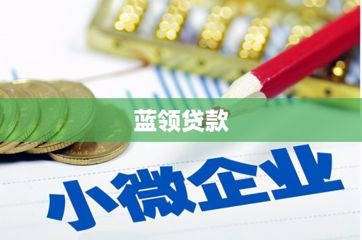 绩溪蓝领贷款