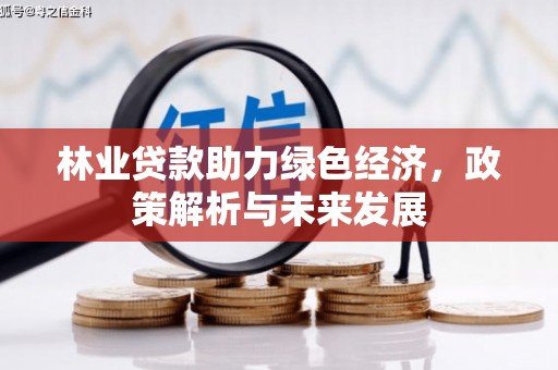 绩溪林业贷款助力绿色经济，政策解析与未来发展