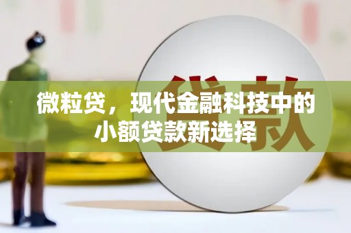 绩溪微粒贷，现代金融科技中的小额贷款新选择