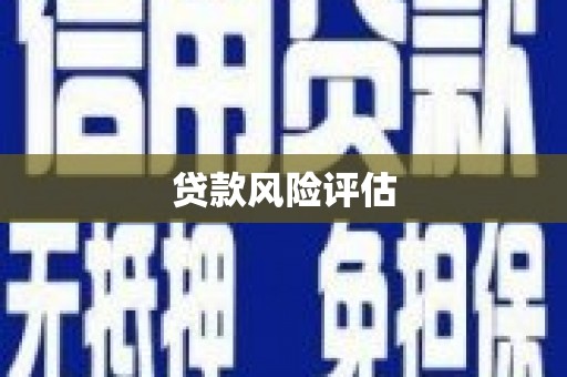 绩溪贷款风险评估