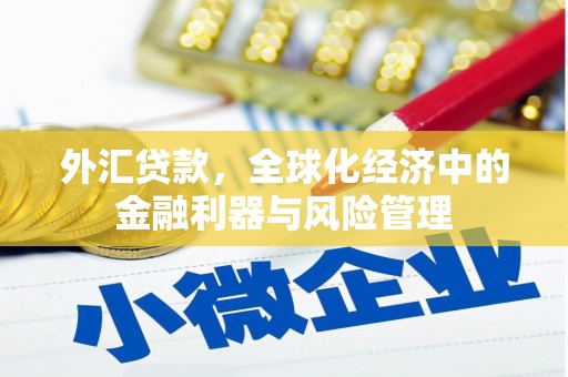 绩溪外汇贷款，全球化经济中的金融利器与风险管理