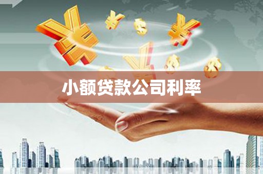 绩溪小额贷款公司利率
