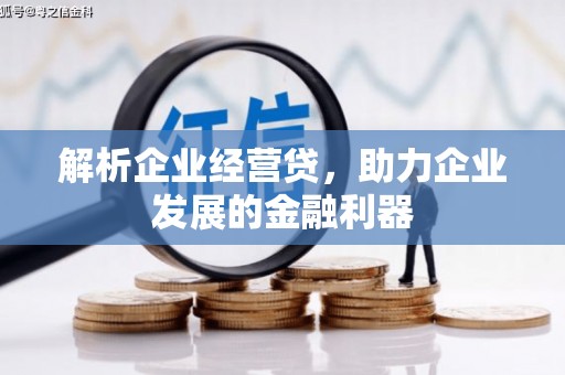 绩溪解析企业经营贷，助力企业发展的金融利器