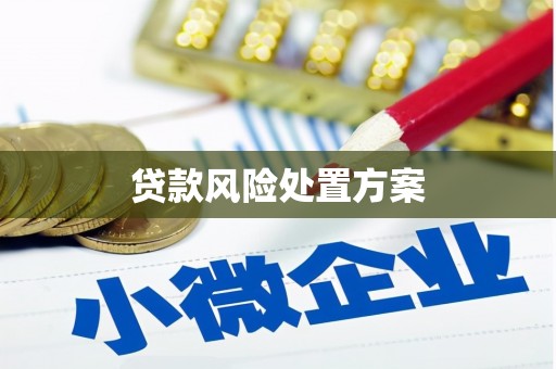 绩溪贷款风险处置方案