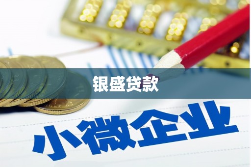 绩溪银盛贷款