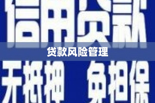 绩溪贷款风险管理