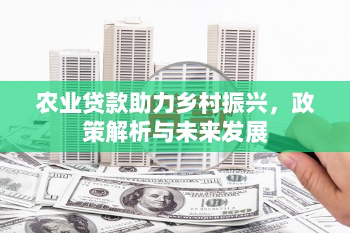 绩溪农业贷款助力乡村振兴，政策解析与未来发展