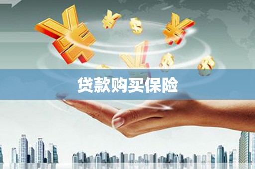绩溪贷款购买保险