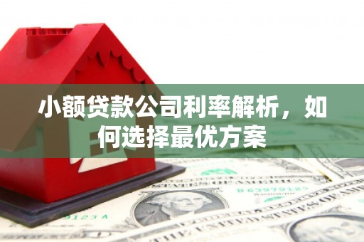 绩溪小额贷款公司利率解析，如何选择最优方案