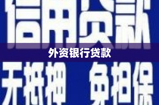 绩溪外资银行贷款