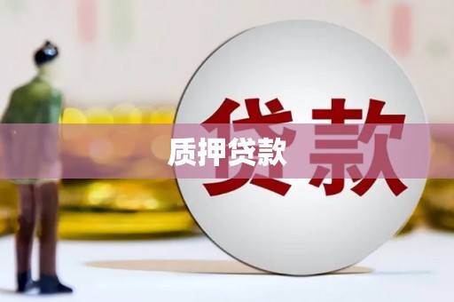 绩溪质押贷款