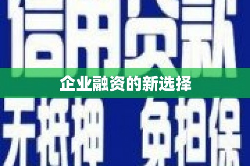 绩溪企业融资的新选择