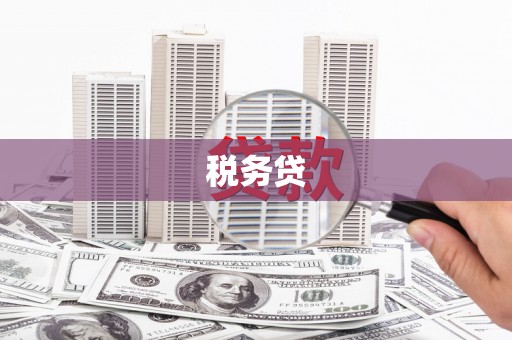 绩溪税务贷