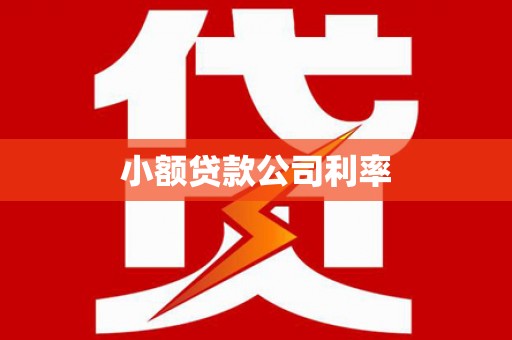 绩溪小额贷款公司利率