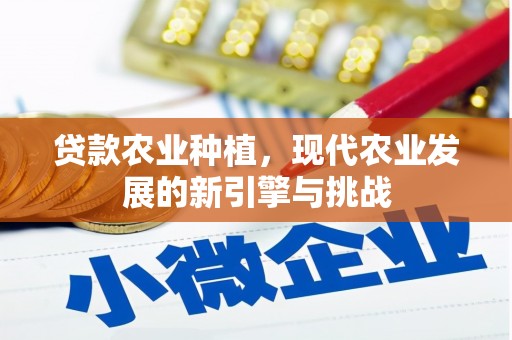 绩溪贷款农业种植，现代农业发展的新引擎与挑战