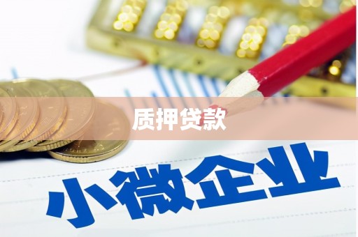 绩溪质押贷款
