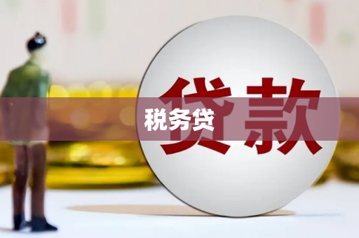 绩溪税务贷