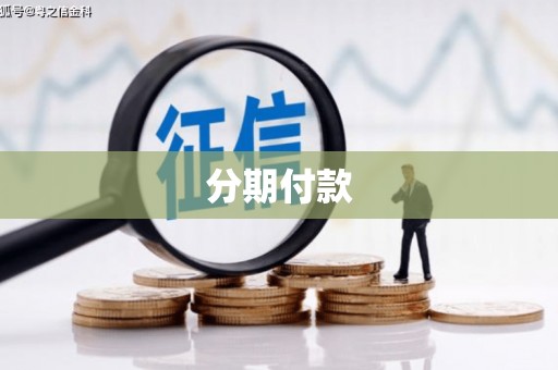 绩溪分期付款