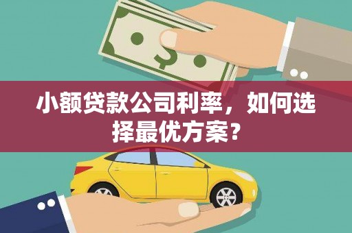 绩溪小额贷款公司利率，如何选择最优方案？