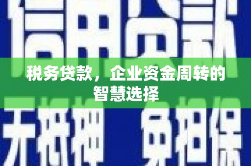 绩溪税务贷款，企业资金周转的智慧选择