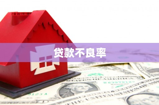 绩溪贷款不良率