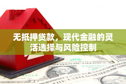 绩溪无抵押贷款，现代金融的灵活选择与风险控制