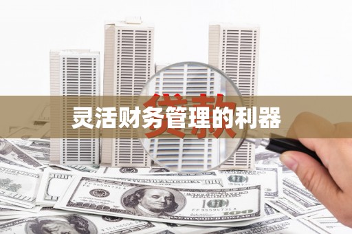 绩溪灵活财务管理的利器