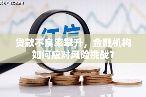绩溪贷款不良率攀升，金融机构如何应对风险挑战？
