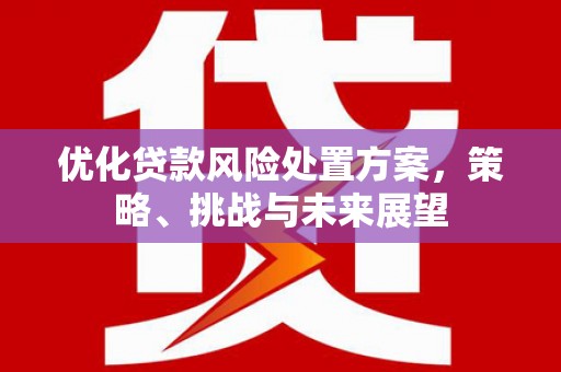 绩溪优化贷款风险处置方案，策略、挑战与未来展望