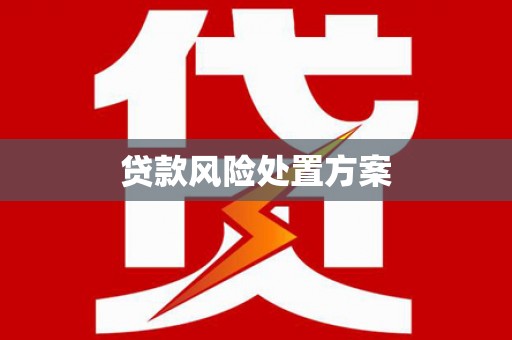 绩溪贷款风险处置方案