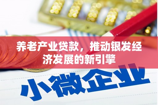 绩溪养老产业贷款，推动银发经济发展的新引擎
