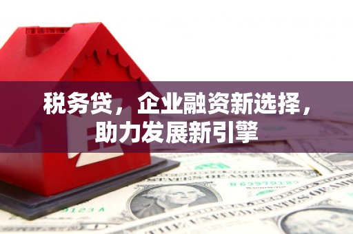 绩溪税务贷，企业融资新选择，助力发展新引擎