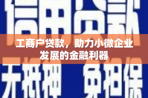 绩溪工商户贷款，助力小微企业发展的金融利器