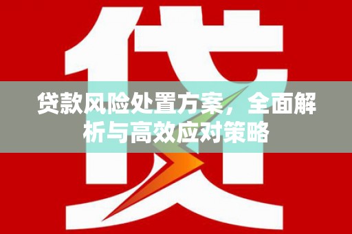 绩溪贷款风险处置方案，全面解析与高效应对策略