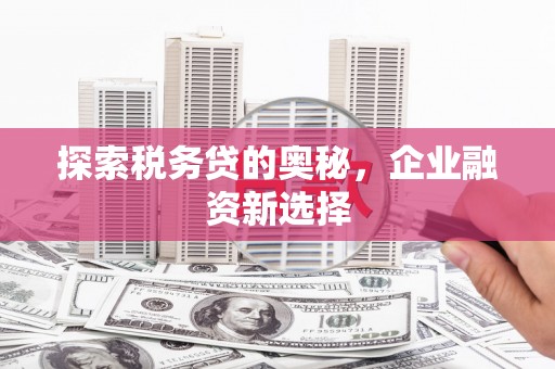 绩溪探索税务贷的奥秘，企业融资新选择