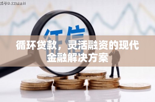 绩溪循环贷款，灵活融资的现代金融解决方案
