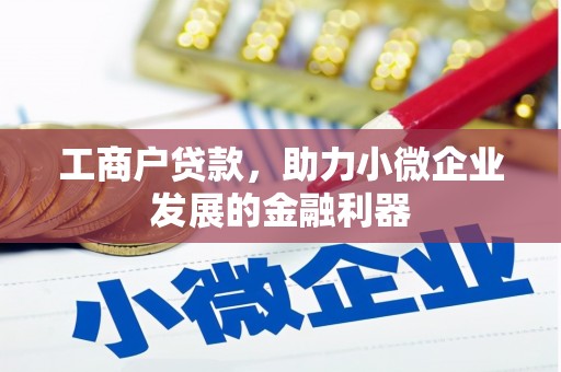 绩溪工商户贷款，助力小微企业发展的金融利器