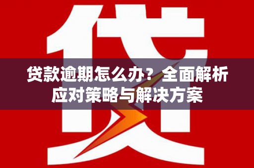 绩溪贷款逾期怎么办？全面解析应对策略与解决方案