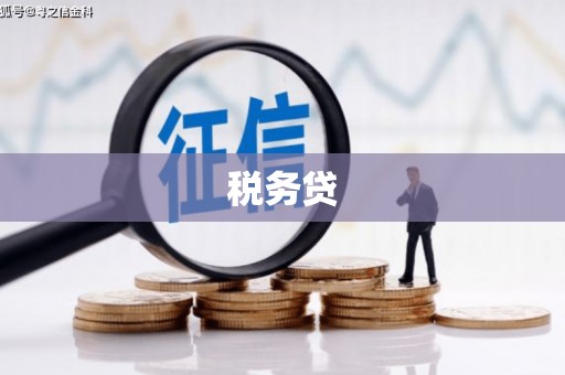 绩溪税务贷