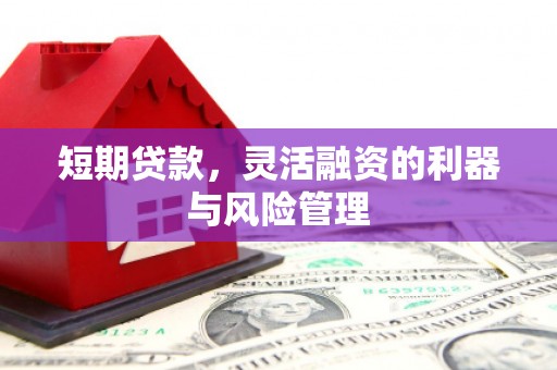 绩溪短期贷款，灵活融资的利器与风险管理