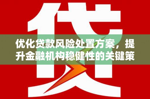 绩溪优化贷款风险处置方案，提升金融机构稳健性的关键策略