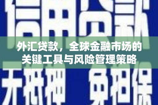 绩溪外汇贷款，全球金融市场的关键工具与风险管理策略