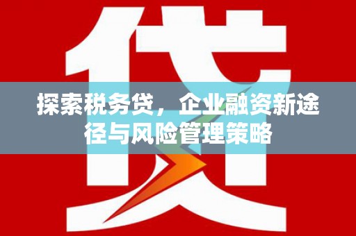绩溪探索税务贷，企业融资新途径与风险管理策略